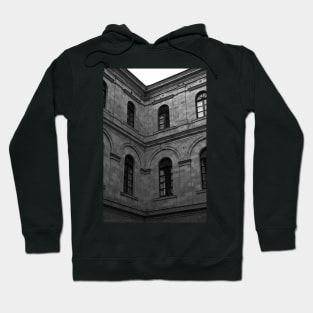 Inside the Palace of Sassaris province Hoodie